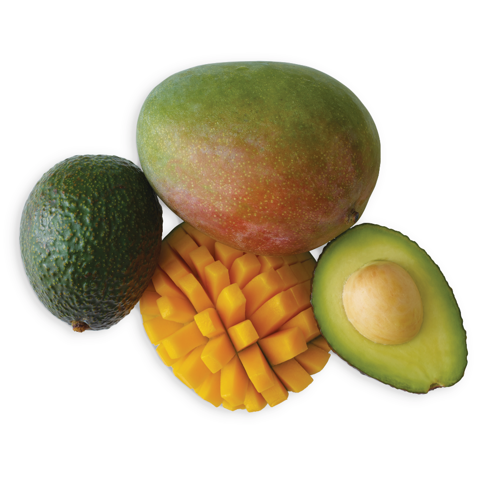 Jumbo Avocados or Mangos